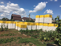 Газобетон КОТТЕДЖ D500 В2.5 625х250х250